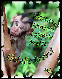 wenskaart-jarigen-week-28-2014-web