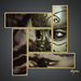 template_4-Pippo-web