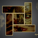 template_4-Pippo-2-web