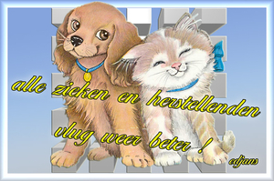 allen-spoedig-herstel-gewenst-web