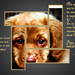 misverstand-template_4-Pippo