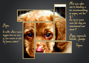 misverstand-template_4-Pippo