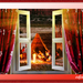 project-268-India-1-web