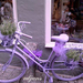 project-278_1_fiets_web