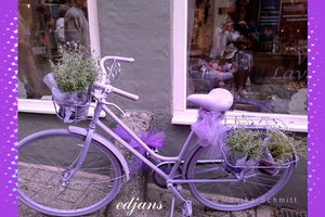 project-278_1_fiets_web