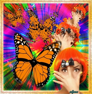 psychedelic-1_web