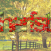 herfst-in-tekst-web