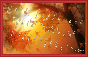 project-Herfst-2014-web