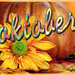 project-287-Oktober-in-de-bloemetjes-gezet-web