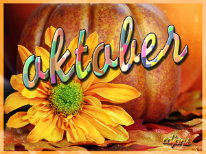 project-287-Oktober-in-de-bloemetjes-gezet-web