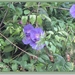 sized_IMG_3093
