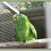 sized_IMG_3275