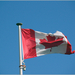 Canadese Vlag