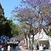 Wandeling in Funchal