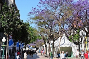 Wandeling in Funchal