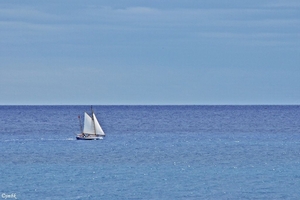 DSC_7757
