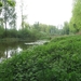 2013-05-18 Berlare 023