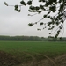 2013-05-20 Mazenzele 008