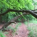 2013-05-20 Mazenzele 016