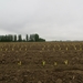 2013-05-20 Sint-Lievens-Houtem 001