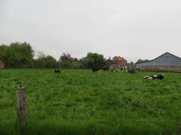 2013-05-20 Sint-Lievens-Houtem 002