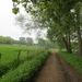 2013-05-20 Sint-Lievens-Houtem 005