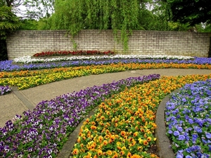 Kasteel Arcen