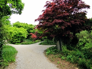 Kasteel Arcen