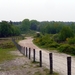 Maasduinen