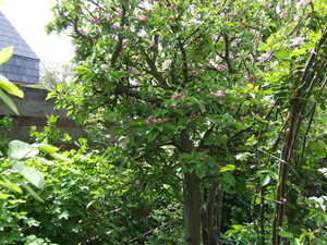 DSCF2237