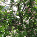 DSCF2238