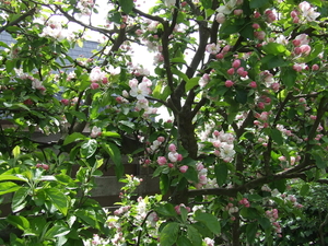 DSCF2238
