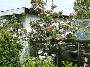 DSCF2239