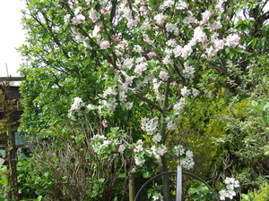 DSCF2241