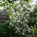 DSCF2244
