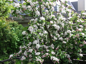 DSCF2245