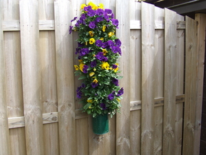 DSCF2257