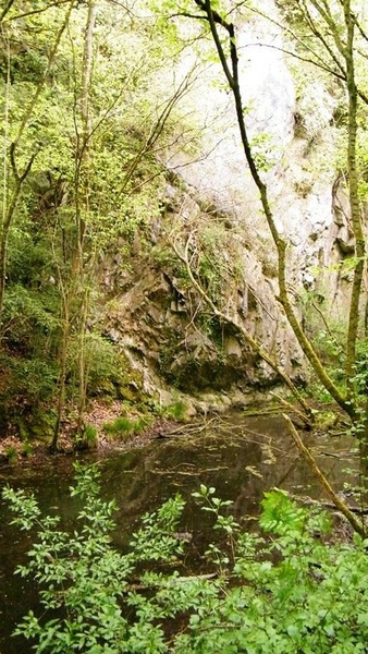 marche batteurs de cuir dinant