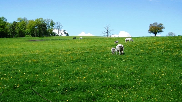 marche batteurs de cuir dinant