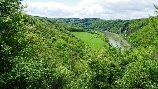 marche batteurs de cuir dinant