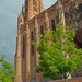 ALBI
