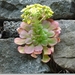 sized_P1150515