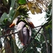 sized_P1150725