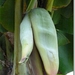 sized_P1150732