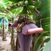 sized_P1150735