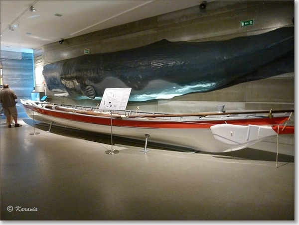 sized_P1160294