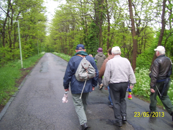 Waterkieken waterwandeling - 23 mei 2013