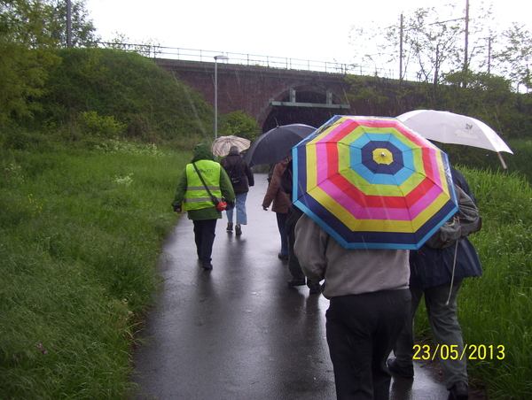 Waterkieken waterwandeling - 23 mei 2013