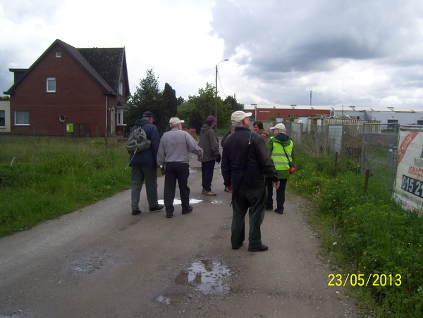 Waterkieken waterwandeling - 23 mei 2013