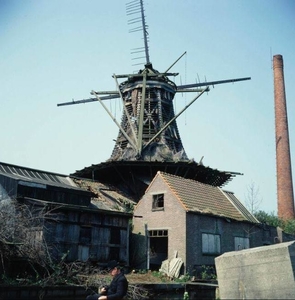 de salamander